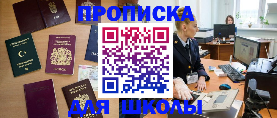 где прописаться в Коле